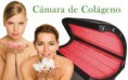 CÁMARA DE COLÁGENO
